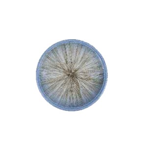 아오센 원형접시 소 14.4cm